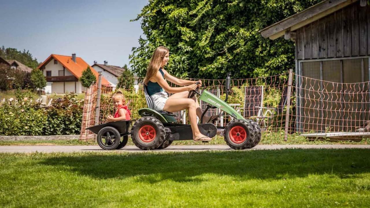 Urlaub Am Regen - Ferienhof Dirnberger Nittenau Exteriér fotografie